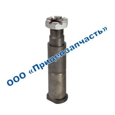 Палец 9693-2919250 в сборе